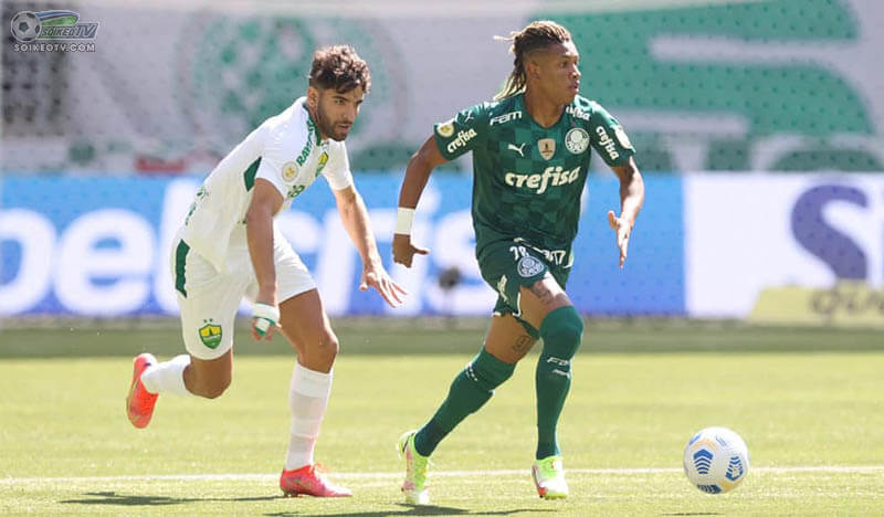 Soi kèo, nhận định Palmeiras vs Cuiaba, 06h00 ngày 19/07/2022